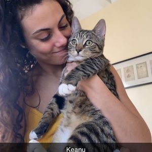 Meet your Posher, Rose